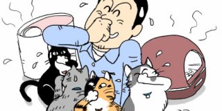 猫の室内飼いのための臭い対策